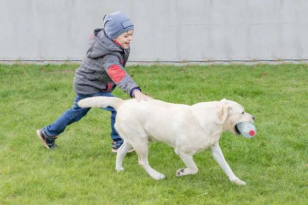 男の子が犬と遊んで — ストック写真