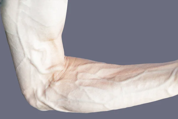 Bir insan eli parçası. Deri ve damarlar