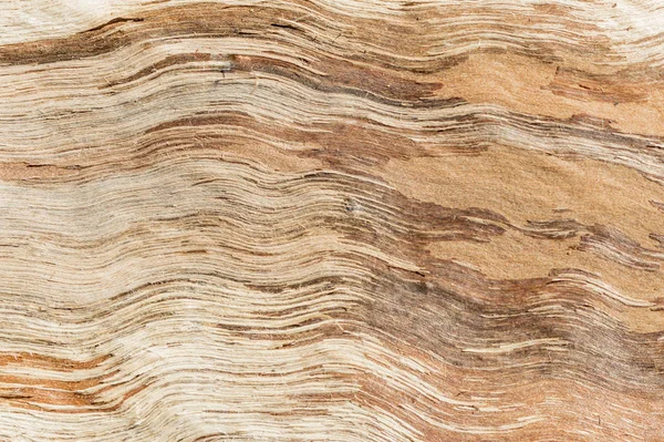 Kesilen ve bölünen odunların liflerinin dokusal görüntüsü