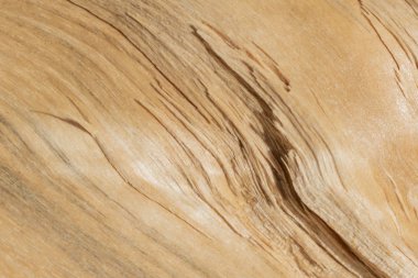 Kesilen ve bölünen odunların liflerinin dokusal görüntüsü