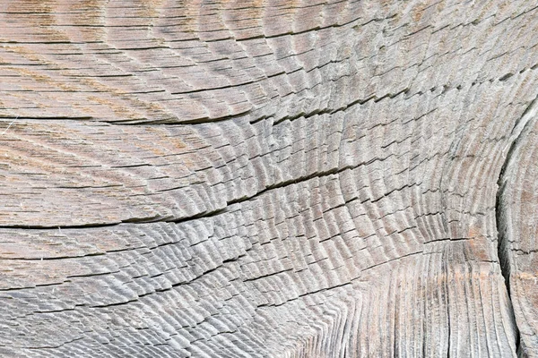 Imagem Textura Velho Tronco Madeira — Fotografia de Stock