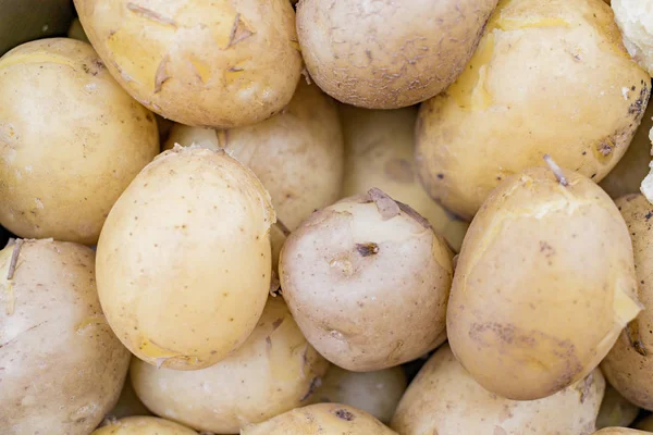 Cooked unpeeled new potatoes early varieties