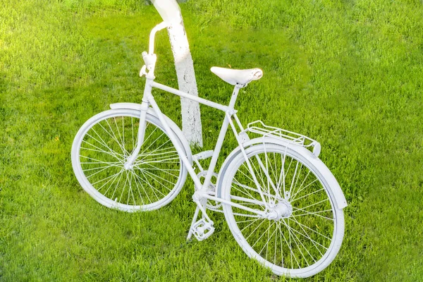Stary Rower Pomalowany Biało Stoi Ogrodzie — Zdjęcie stockowe
