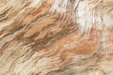 Kesilen ve bölünen odunların liflerinin dokusal görüntüsü