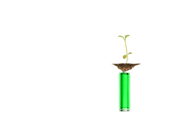 Zöld növények és akkumulátorok kollázsa — Stock Fotó