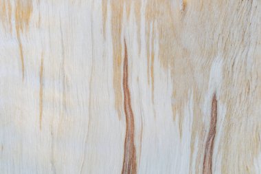 Kesilen ve bölünen odunların liflerinin dokusal görüntüsü