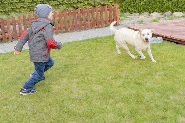 男の子が犬と遊んで — ストック写真