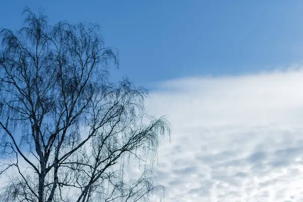 Avond bewolkte lucht buiten de stad — Stockfoto