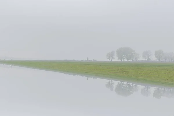 Área de paisagem da manhã no nevoeiro — Fotografia de Stock