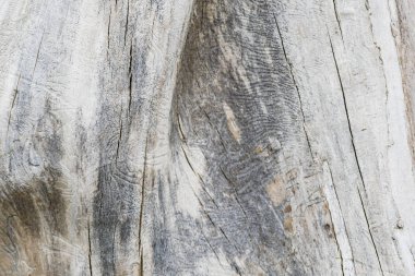 Eski ahşap bir kütüğün doku resmi