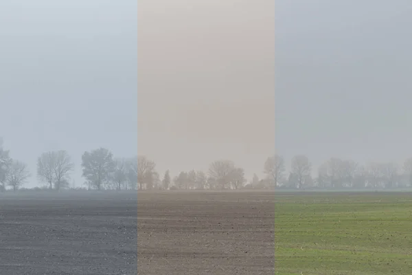 Área de paisaje matutino en la niebla — Foto de Stock