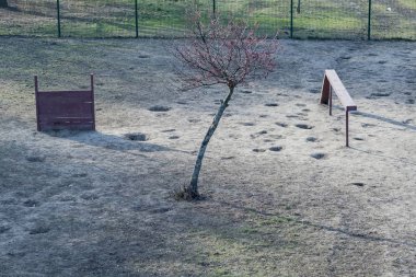 Köpek gezdirme için kuşhane