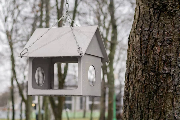 Casa suspendida para pájaros en el Parque — Foto de Stock