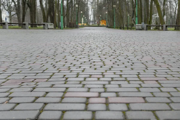 Pflasterplatten nach Regen — Stockfoto