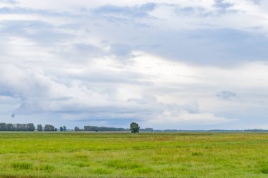Arazinin yaz manzarası ve mavi gökyüzü