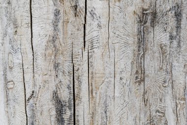 Eski ağaç yüzeyinin doku görüntüsü