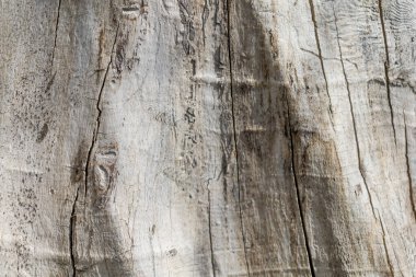 Eski ağaç yüzeyinin doku görüntüsü