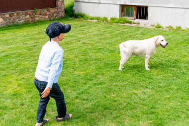 küçük çocuk köpekle oynamayı