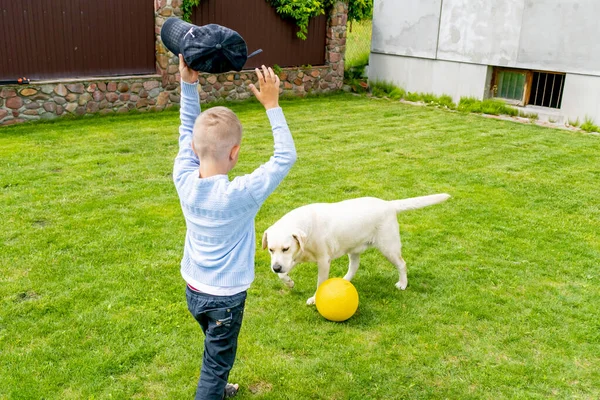 男の子が犬と遊んで — ストック写真