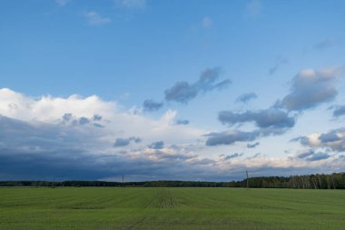 Ormanın üzerinde akşam gökyüzünde sonbahar fırtınası bulutları