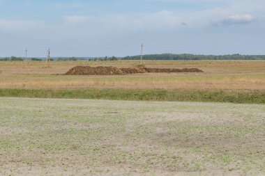 Bir tarlada duran büyük bir gübre yığını.