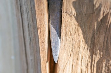 Bir balta, kesilen bir ağacın bloğunu keser.