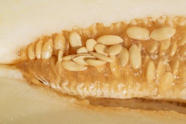 Çekirdekli kavun püresi.