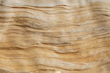 Kesilen ve bölünen odunların liflerinin dokusal görüntüsü