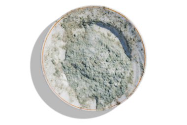 Arka planda küfle kaplanmış kirli bir tabak.