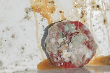 Beyaz küfle kaplanmış hasarlı ürün