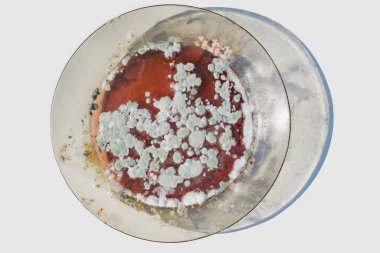 Arka planda küfle kaplanmış kirli bir tabak.