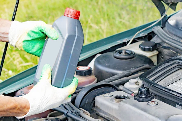 Specialist fills the oil in the car engine