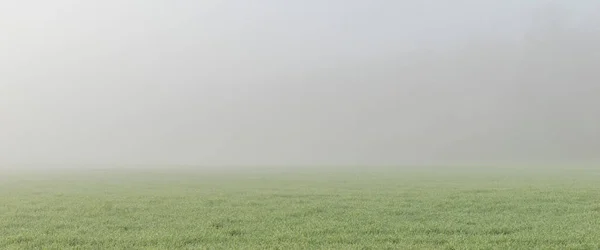 Uitzicht Ochtendmist Buiten Stad Late Herfst — Stockfoto