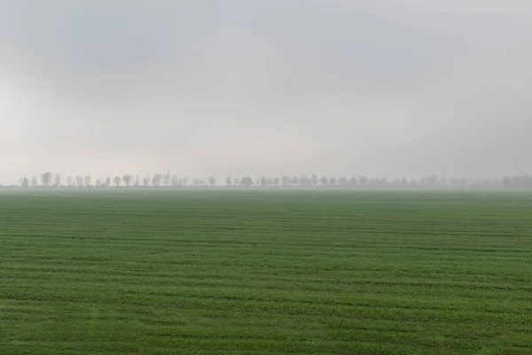 Paisaje Matutino Del Campo Fuera Ciudad Una Espesa Niebla —  Fotos de Stock