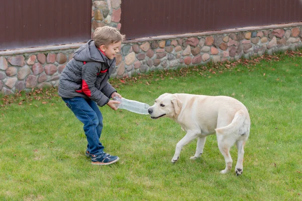 家の庭で犬と遊ぶ男の子 — ストック写真