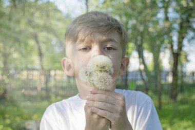 Küçük bir çocuk evin yakınındaki bahçede bir karahindiba uçuruyor.