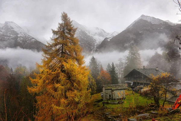 Autunno panorama alpino — Foto Stock