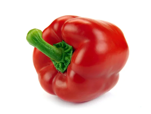 Röd paprika på en vit bakgrund — Stockfoto
