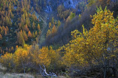 sonbahar Alp panorama
