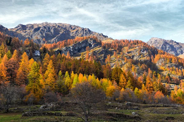 Autumn alpine panorama — Stock Photo, Image