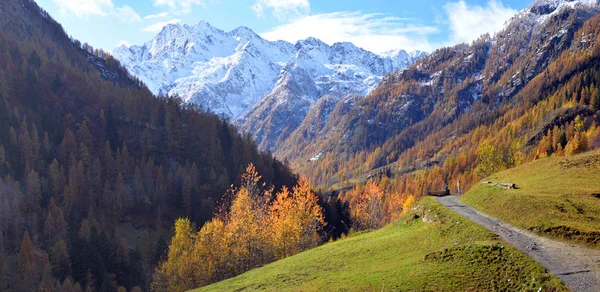 Autumn Alpine landscape — Stock Photo, Image