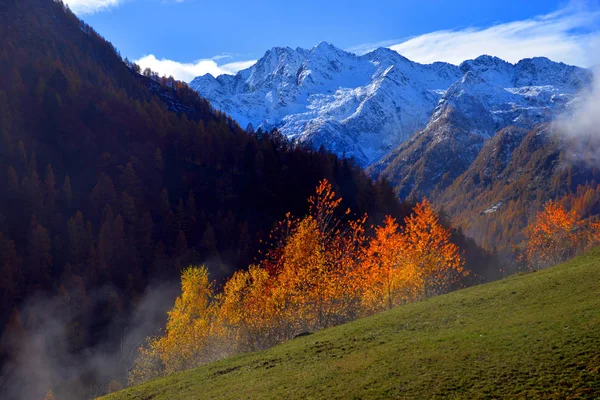 Őszi alpesi táj — Stock Fotó