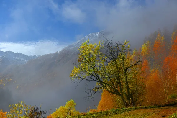 Autunno Paesaggio alpino — Foto Stock