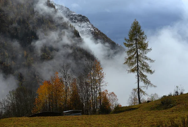 Podzimní alpské krajiny — Stock fotografie