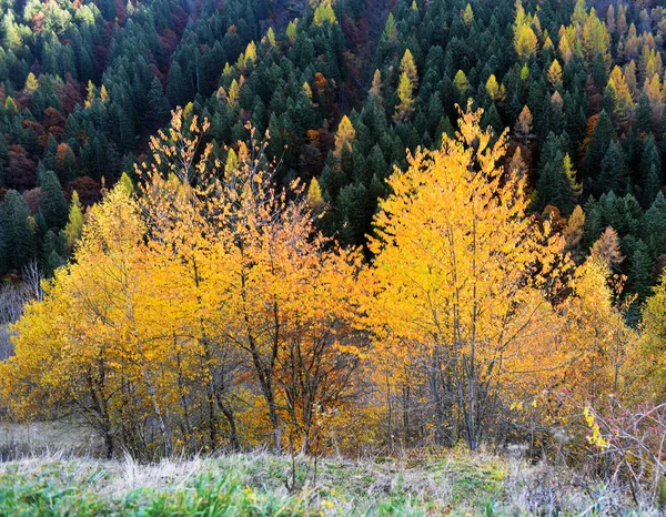 Podzimní alpské krajiny — Stock fotografie