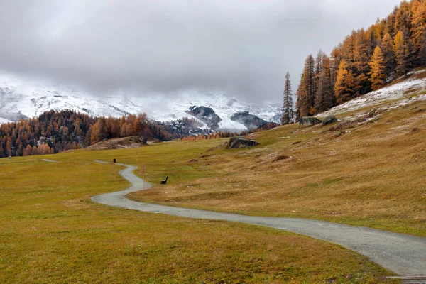 Autumn Alpine landscape — Stock Photo, Image