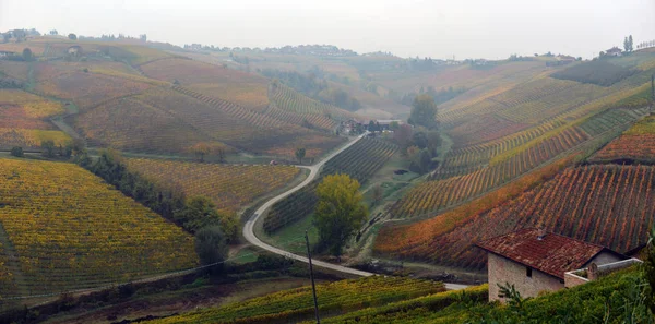 Panorama des vignobles d'automne — Photo