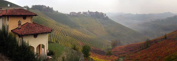 Panorama der herbstlichen Weinberge — Stockfoto