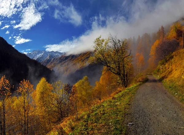 Autumn Alpine landscape — Stock Photo, Image