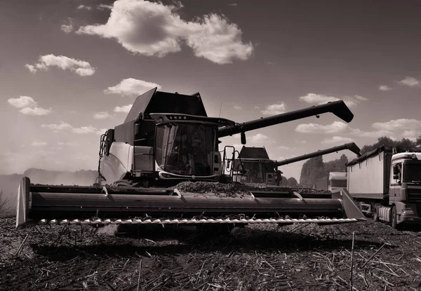 Harvester for harvesting sunflower crop — Stock Photo, Image